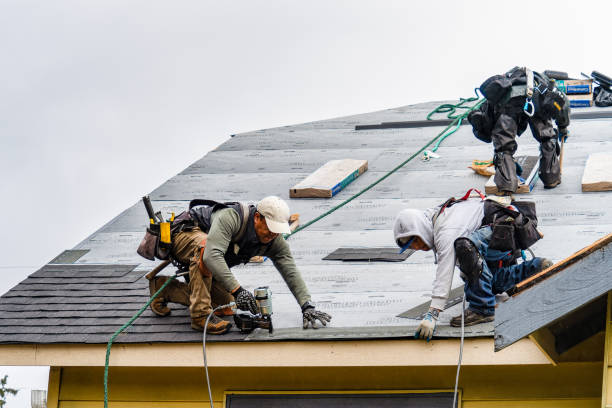 Professional Gutter Installation technician working in Trevor, WI